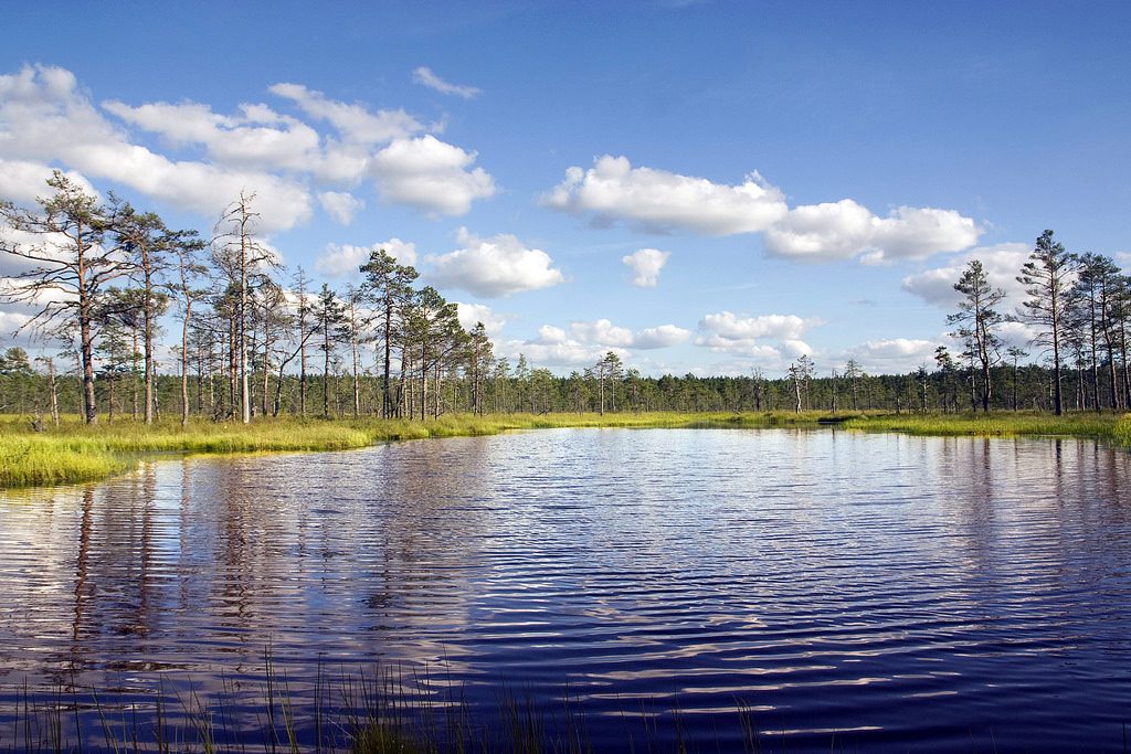 Lahemma National Park